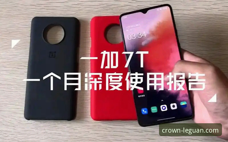 乐冠国际平台全面评测：安装教程与使用体验深度分析