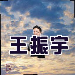 王振宇